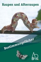 Bestimmungsfächer - Raupen und Afterraupen (Identification cards - caterpillars and larvae). Text in German.