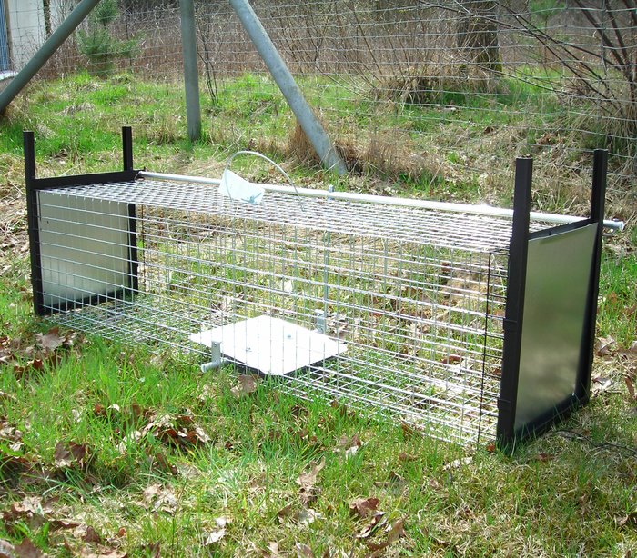 Predator Trap | GRUBE.EU