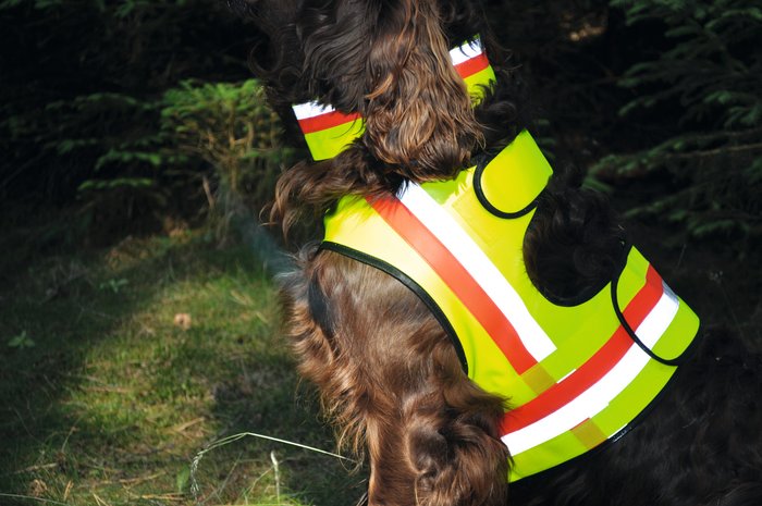 Gilet de sécurité pour chiens Nordforest Hunting dans la boutique