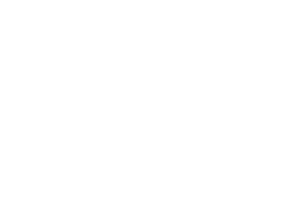 Pferd