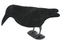 Flock Coated Bird Decoy