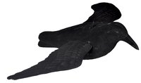 Flock Coated Flying Bird Decoy