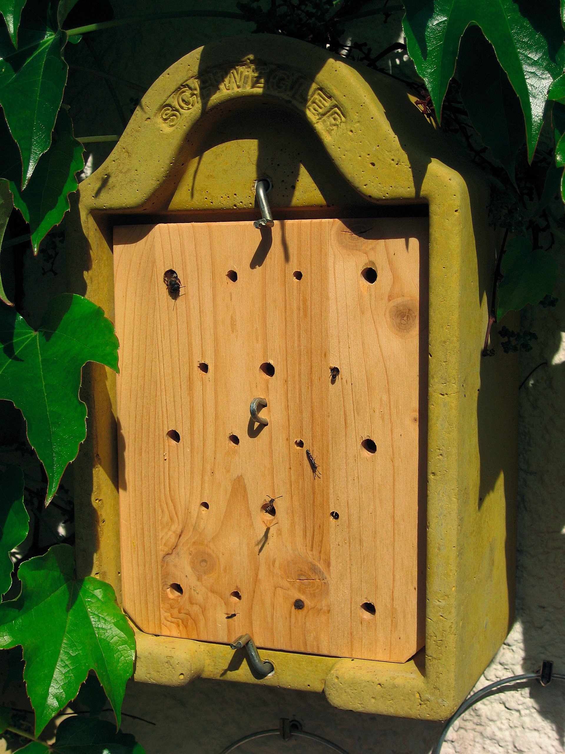 Insektennisthaus zum Beobachten Insektennisthaus zum Beobachten