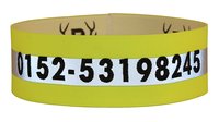 Wide Embroidered Neon Gun Dog Collar