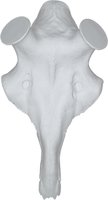Kunstschädel Damhirsch