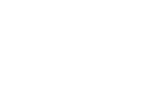 Ballistol