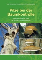 Pilze bei der Baumkontrolle