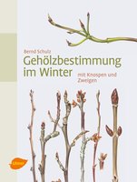 Gehölzbestimmung im Winter - mit Knospen und Zweigen (Identifying woody plants in winter - with buds and twigs). Text in German.