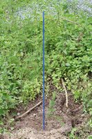 Fiberglas-Pflanz- & Markierstab