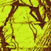camouflage neon yellow camouflage neon yellow