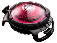 Orbiloc Dog Dual Light