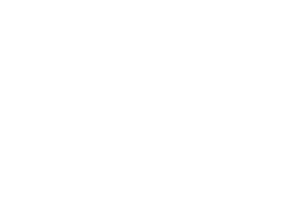 Esbit