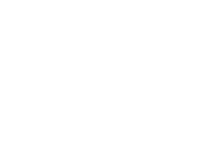 Fare