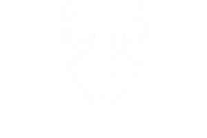 Trophystone