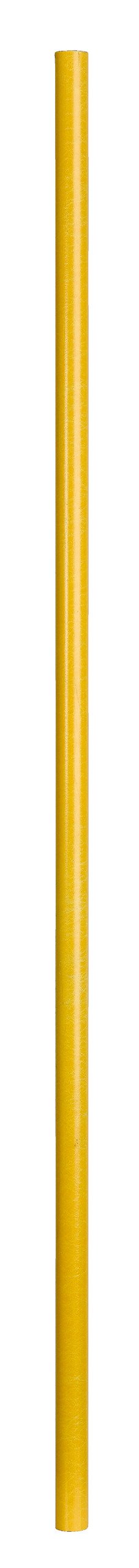 Tri Saw Ersatzrohr für Tri Saw Lock25 Glasfaser-Teleskopgestänge 490 cm Tri Saw Ersatzrohr für Tri Saw Lock25 Glasfaser-Teleskopgestänge 490 cm