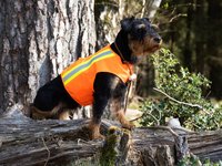 Aduro Dog's High Visibility Coat