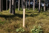 Bio-Wuchshülle Biowit NT BTR