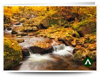 Geschenkgutschein zum Drucken