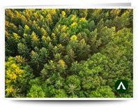 Geschenkgutschein zum Drucken