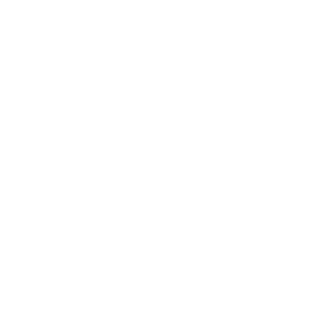 Mosquito Magnet