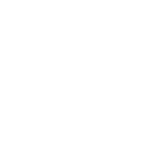 Bollé Safety