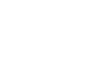 Landig