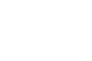 Cellfast