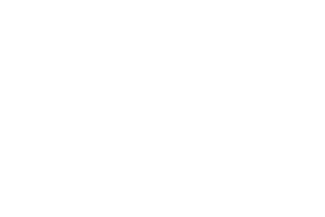 Wheeldom