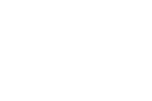 Notch