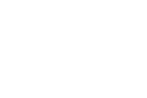 Warthog