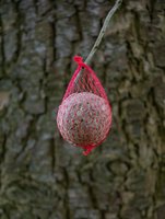 Boules pour mésanges Tedje Fruits et insectes