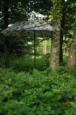 Parapluie de chasse Blaser dans la boutique GRUBE