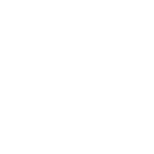 Lapport