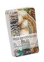 Holz zerstörende Baumpilze