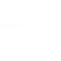 Dynaforce