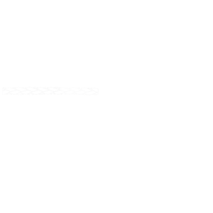 Dynaforce