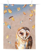 IHR Owl Dish Towel