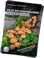 Pilze an Stadtbäumen – Bestimmungsfächer