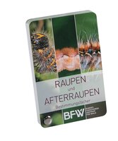 Bestimmungsfächer - Raupen und Afterraupen (Identification cards - caterpillars and larvae). Text in German.