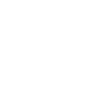Wirex