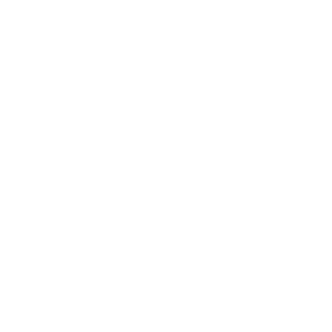 Wirex