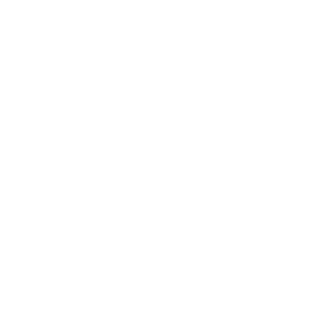 Schwegler