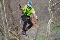 Dispositif pour corde ART BlackBird