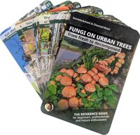 Bestimmungsfächer – Pilze an Stadtbäumen, englische Ausgabe
