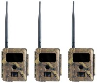 ICU Wildkamera Clom Easycam 3er-Set