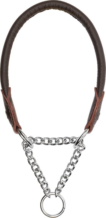 Blaser Hundehalsung Leder