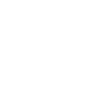 Hans Schäfer