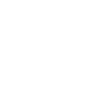 Holik