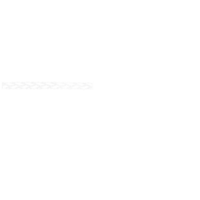 Dynaforce