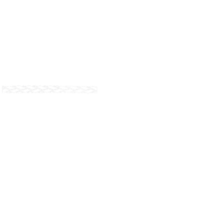 Dynaforce